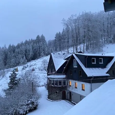 Baumwipfel Willingen (Upland)