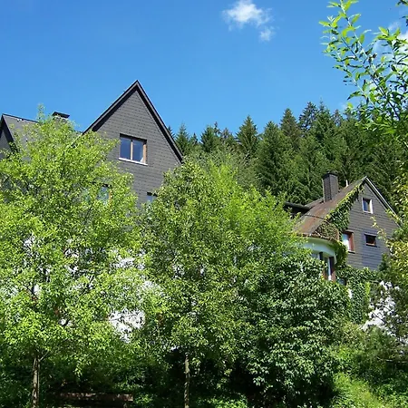 Gasthof Baumwipfel Willingen (Upland)