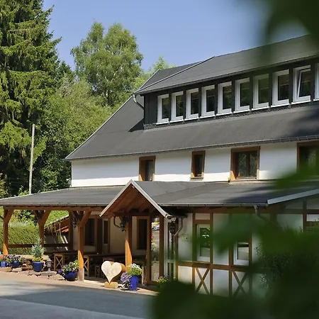 Baumwipfel