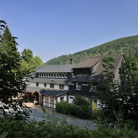 Baumwipfel Willingen (Upland)