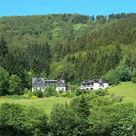 Baumwipfel