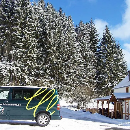 Baumwipfel Gæstehus Willingen (Upland)