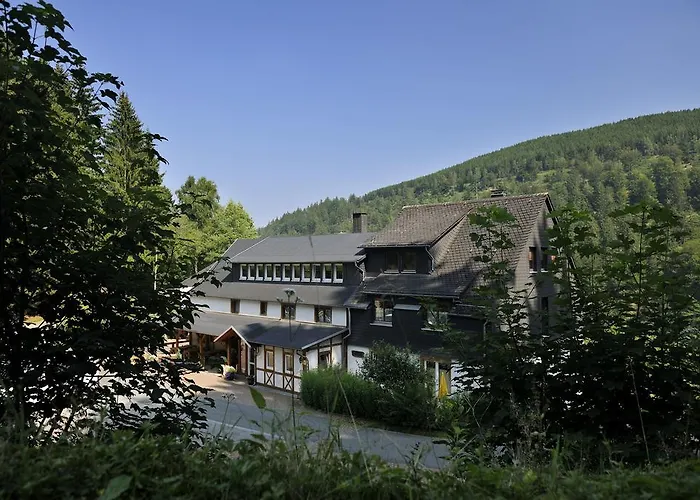 Baumwipfel Willingen