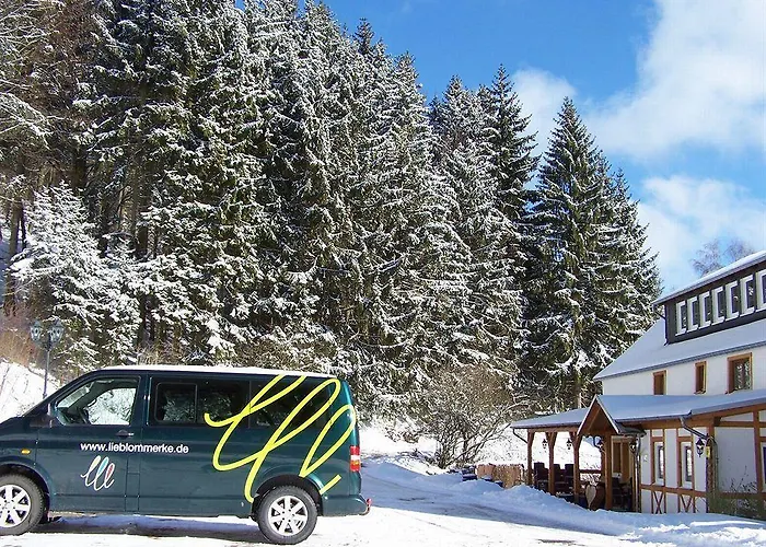 Baumwipfel Vendégház Willingen